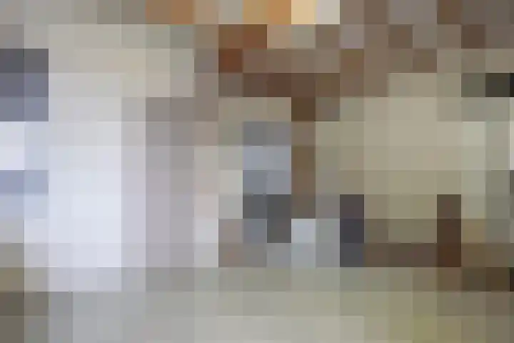 Klaverweid 17 Enkhuizen thumbnail 30
