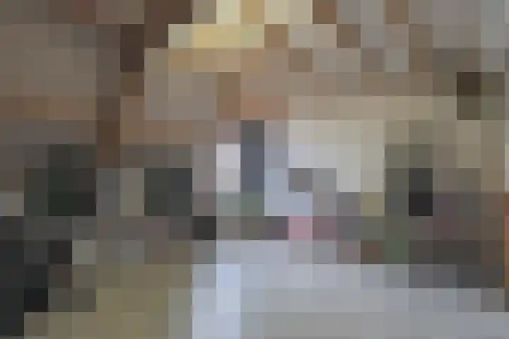 Klaverweid 17 Enkhuizen thumbnail 33