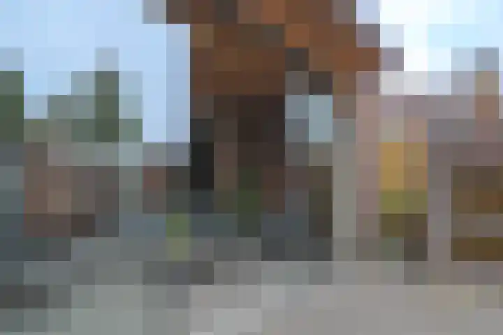 Klaverweid 17 Enkhuizen thumbnail 38