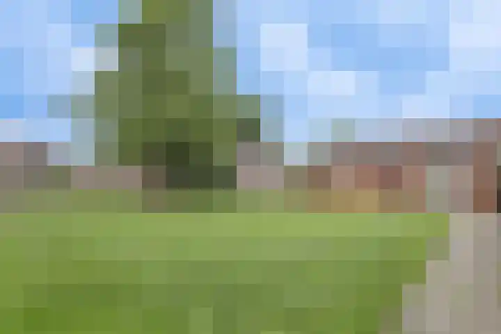 Klaverweid 17 Enkhuizen thumbnail 41