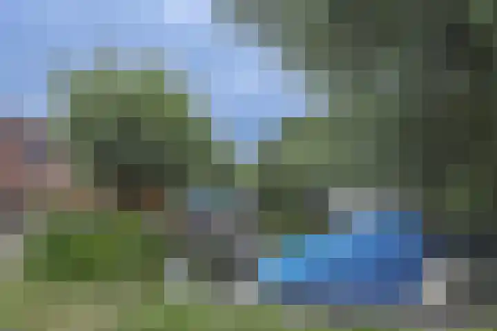 Klaverweid 17 Enkhuizen thumbnail 43