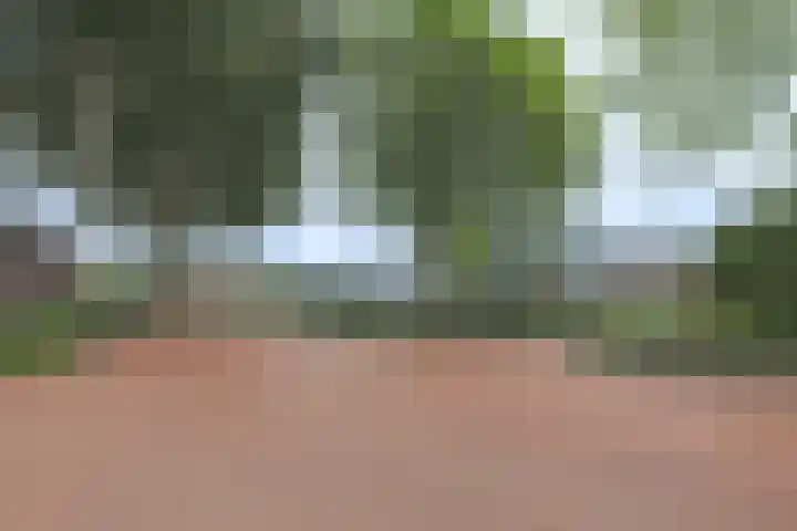Klaverweid 17 Enkhuizen thumbnail 45