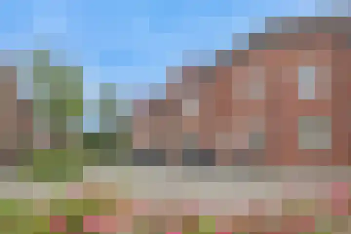 Klaverweid 17 Enkhuizen thumbnail 47