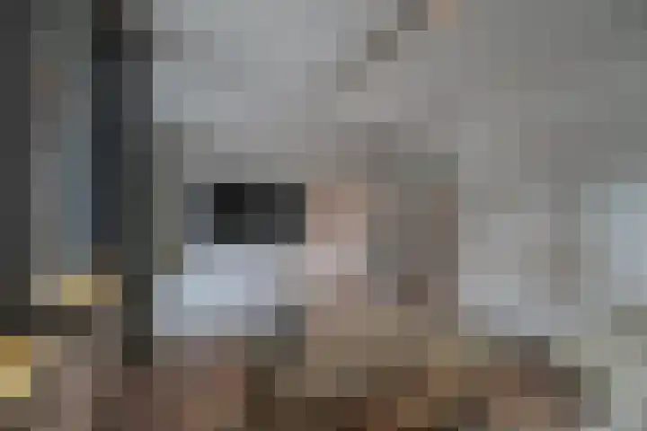 Klaverweid 17 Enkhuizen thumbnail 6
