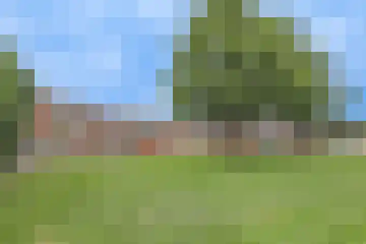 Klaverweid 17 Enkhuizen thumbnail 8