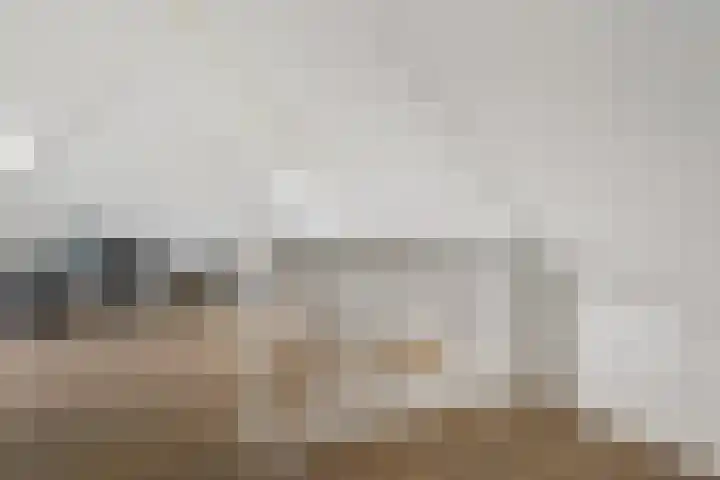 Klaverweide 1 Lelystad thumbnail 37