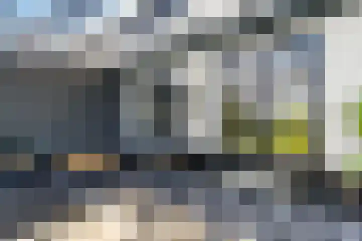 Klaverweide 1 Lelystad thumbnail 38