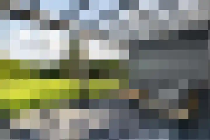Klaverweide 1 Lelystad thumbnail 39