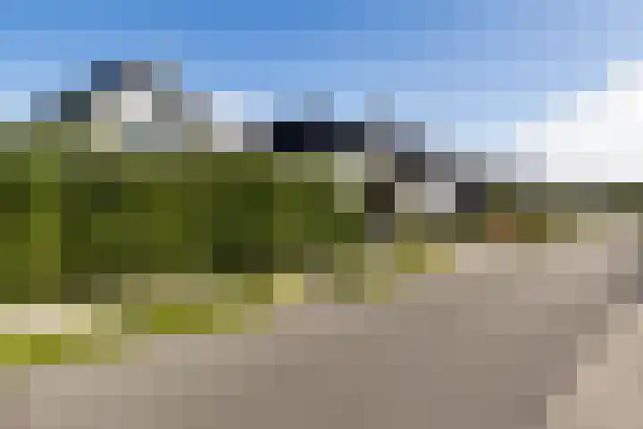 Klaverweide 1 Lelystad thumbnail 4
