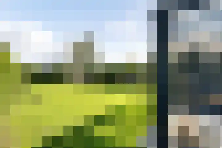 Klaverweide 1 Lelystad thumbnail 40