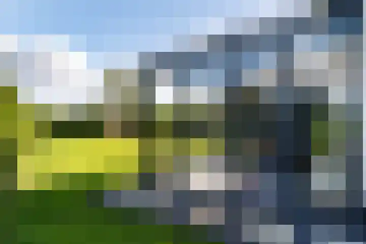 Klaverweide 1 Lelystad thumbnail 41