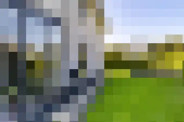 Klaverweide 1 Lelystad thumbnail 42