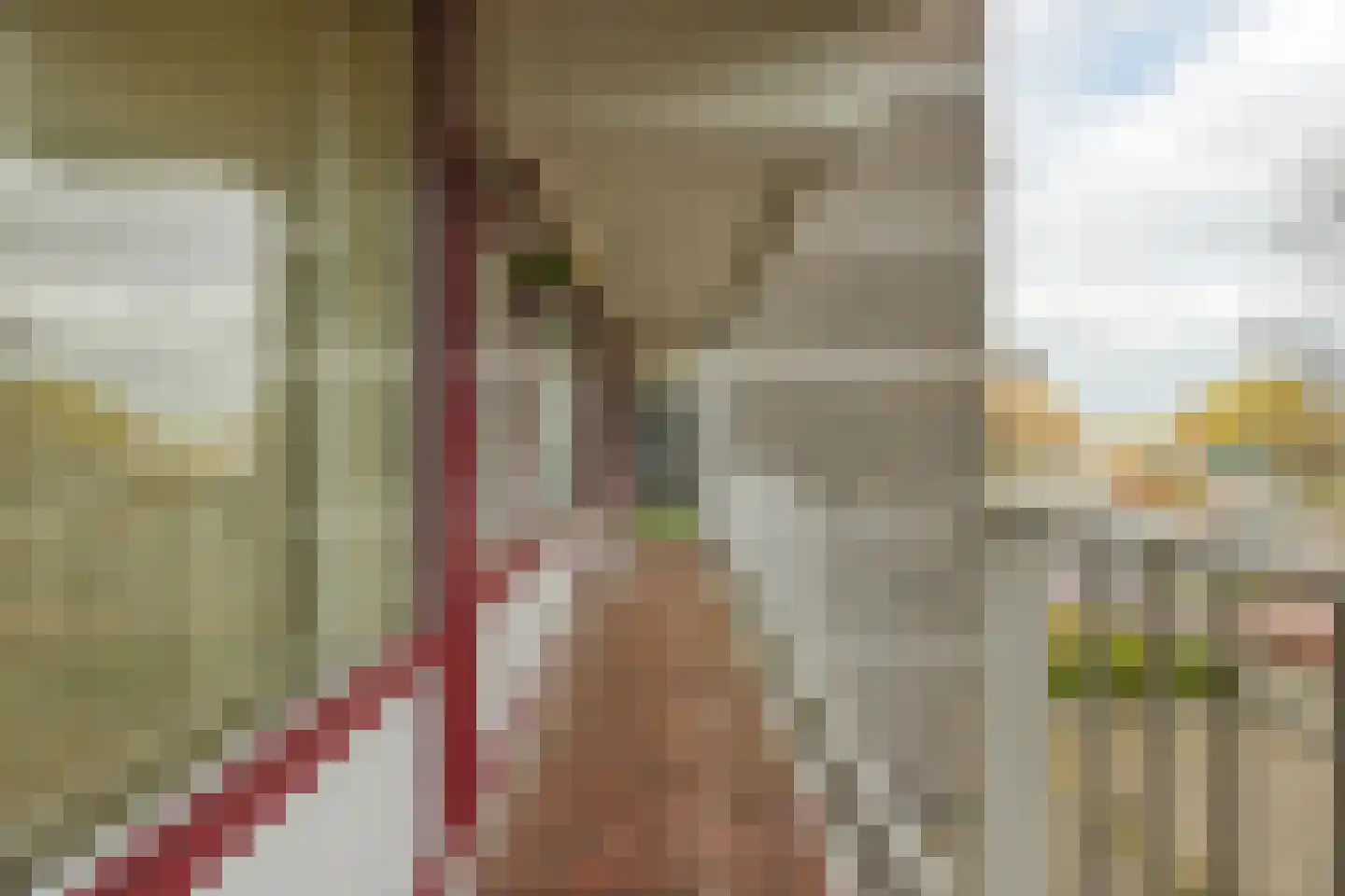 Klaverweide 112 Voorburg thumbnail 24