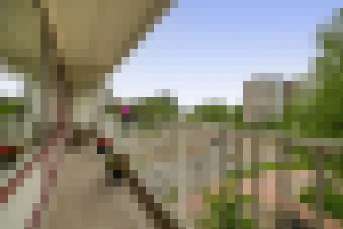Klaverweide 114 Voorburg thumbnail 26