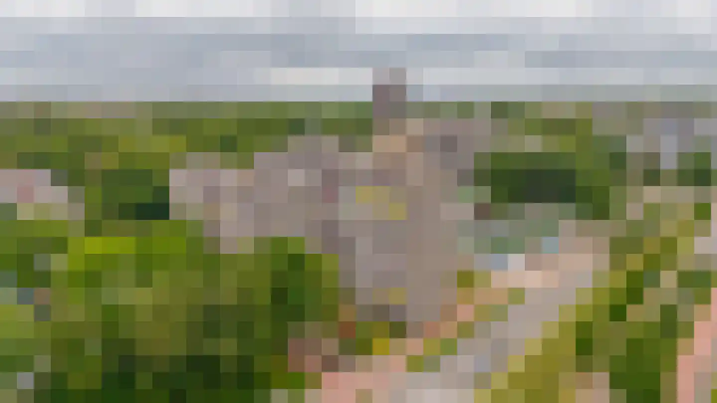 Klaverweide 114 Voorburg thumbnail 29