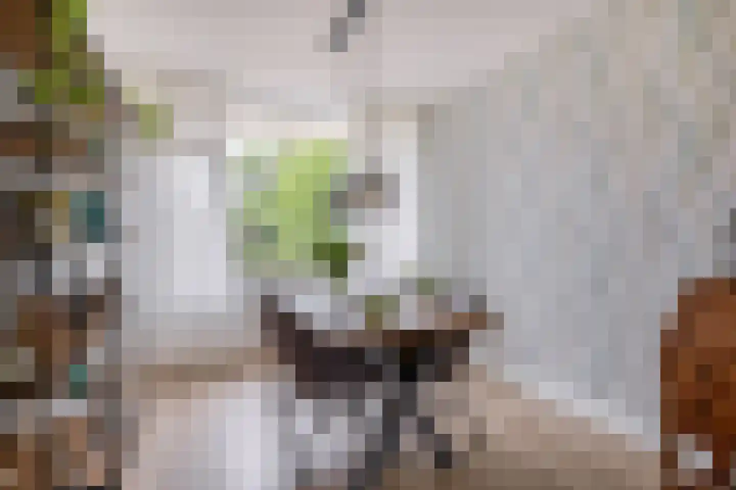 Klaverweide 114 Voorburg thumbnail 8