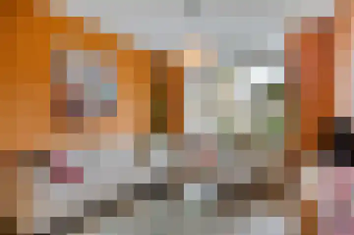 Klaverweide 12 Oss thumbnail 15
