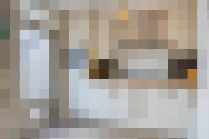 Klaverweide 12 Oss thumbnail 20