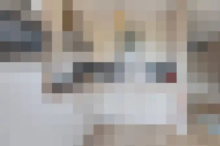Klaverweide 12 Oss thumbnail 21