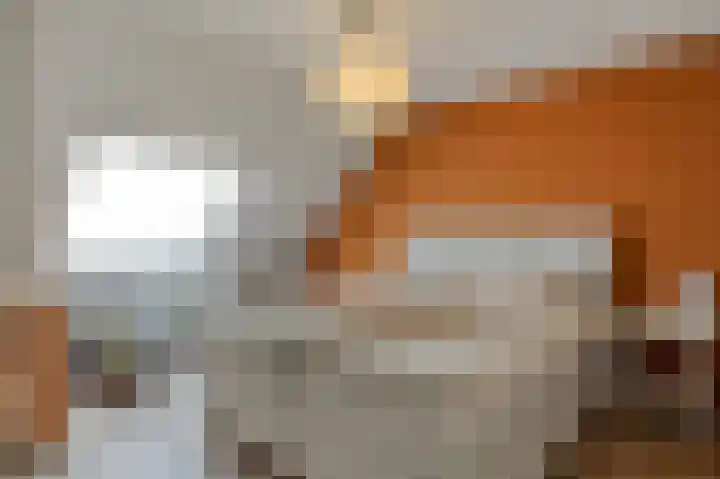 Klaverweide 12 Oss thumbnail 25