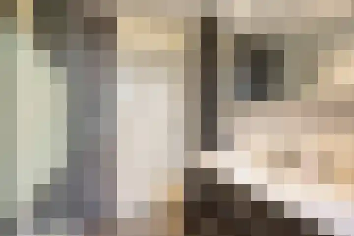 Klaverweide 12 Oss thumbnail 31