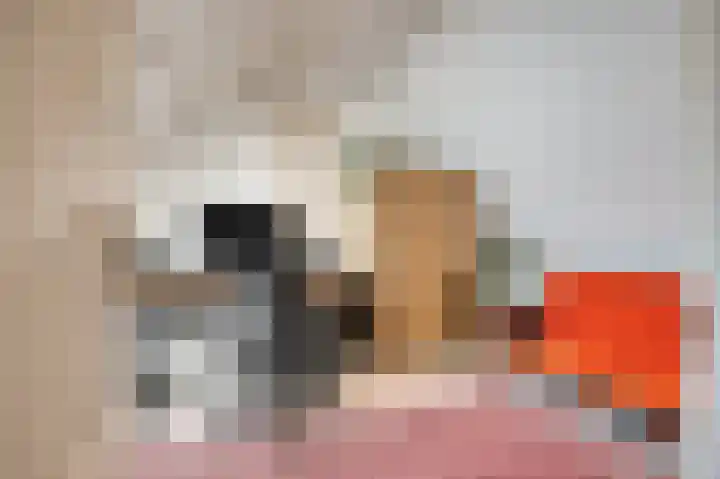 Klaverweide 12 Oss thumbnail 4