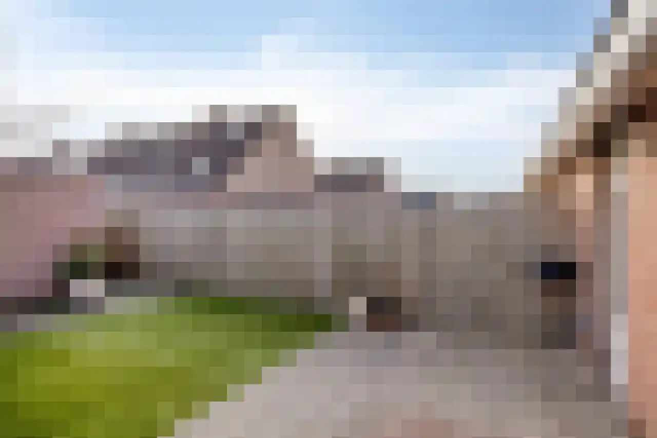 Klaverweide 12 Oss thumbnail 42