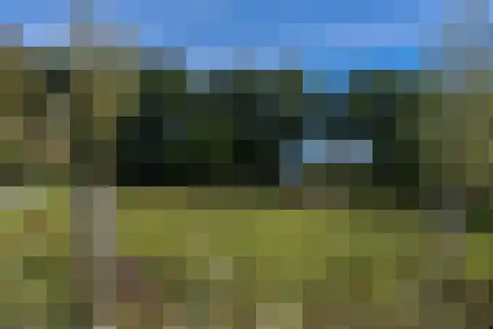 Klaverweide 13 Hoevelaken thumbnail 42