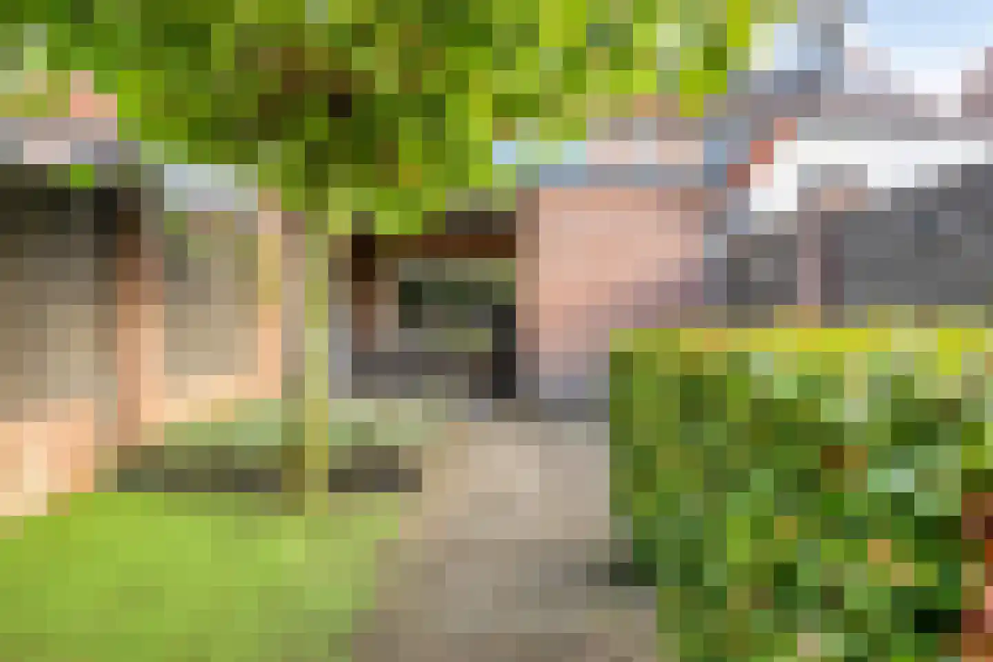 Klaverweide 14 Barneveld thumbnail 30