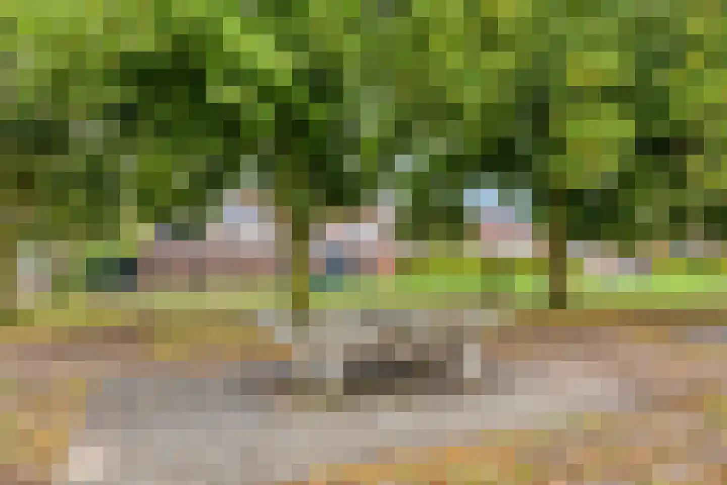 Klaverweide 14 Barneveld thumbnail 34
