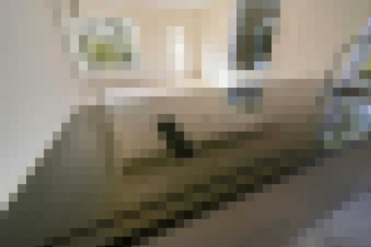 Klaverweide 15 Voorburg thumbnail 14