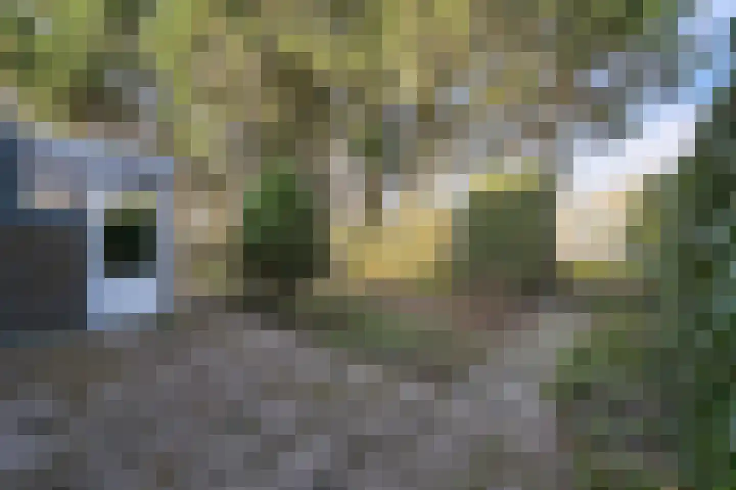 Klaverweide 15 Voorburg thumbnail 16