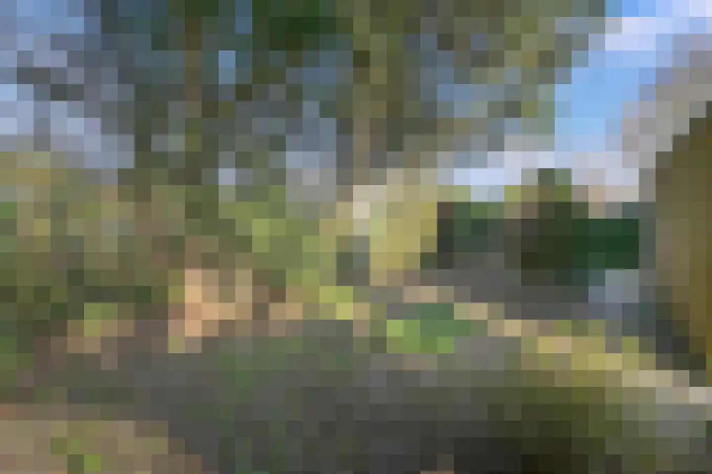 Klaverweide 15 Voorburg thumbnail 20