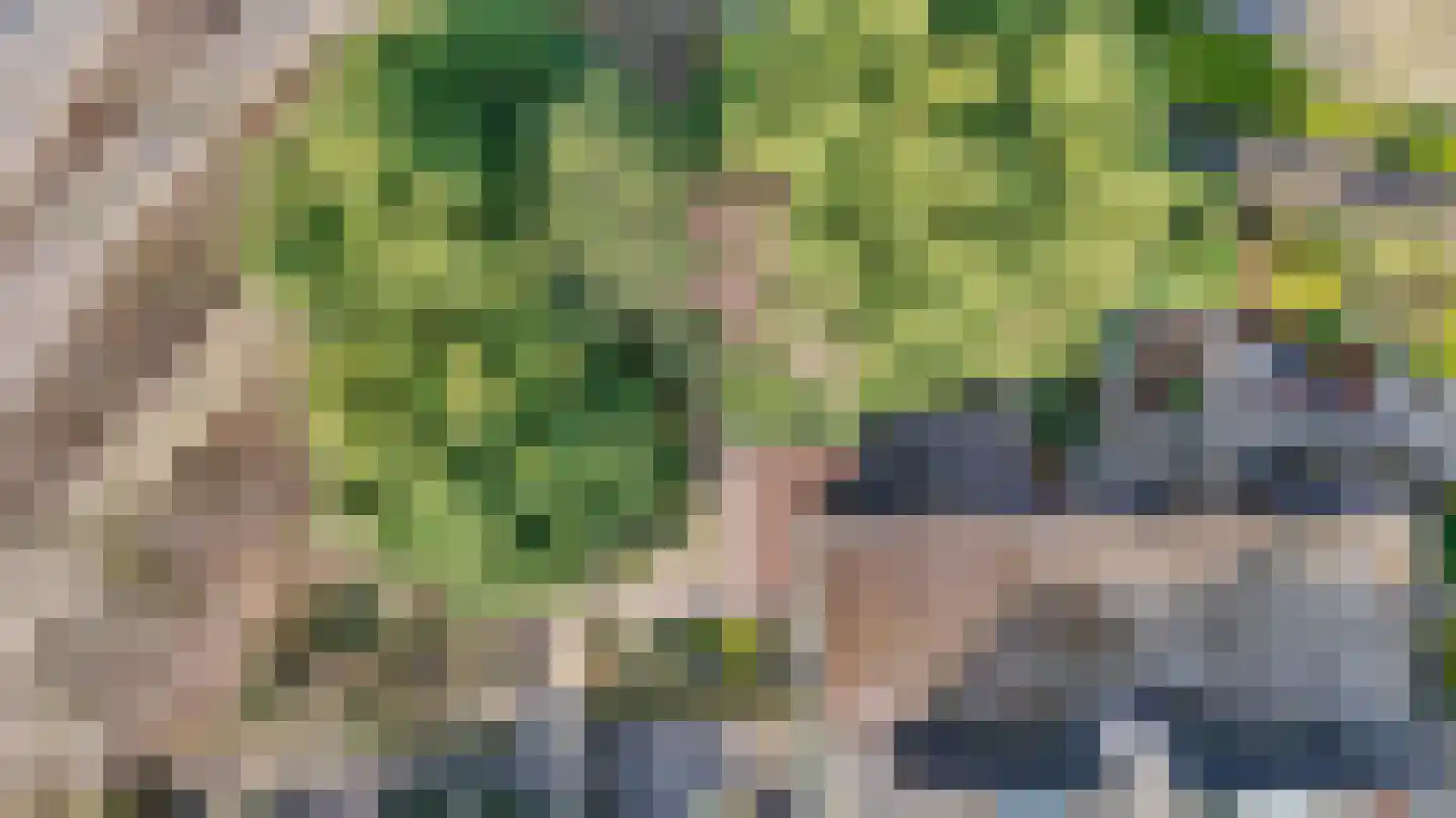 Klaverweide 15 Voorburg thumbnail 37