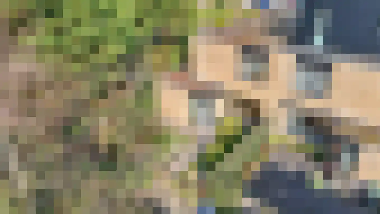 Klaverweide 15 Voorburg thumbnail 4