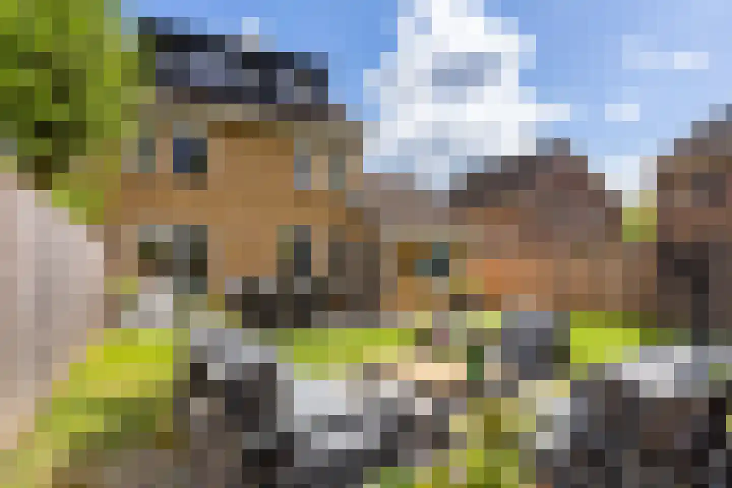 Klaverweide 17 Beuningen Gld thumbnail 16