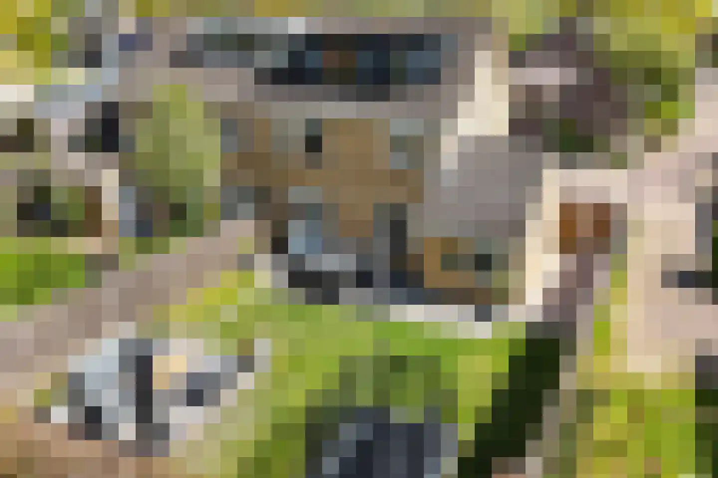 Klaverweide 17 Beuningen Gld thumbnail 36