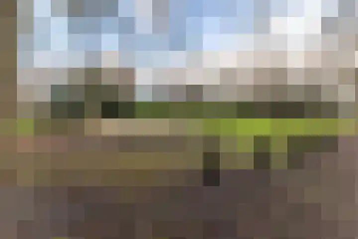 Klaverweide 188 Voorburg thumbnail 21