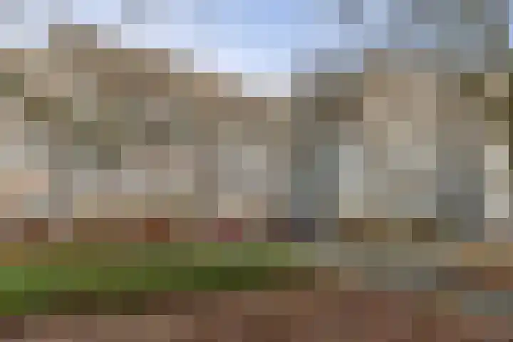 Klaverweide 188 Voorburg thumbnail 22