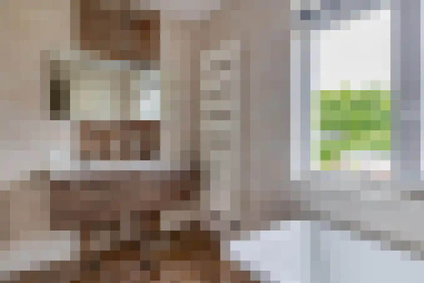Klaverweide 19 Erp thumbnail 17