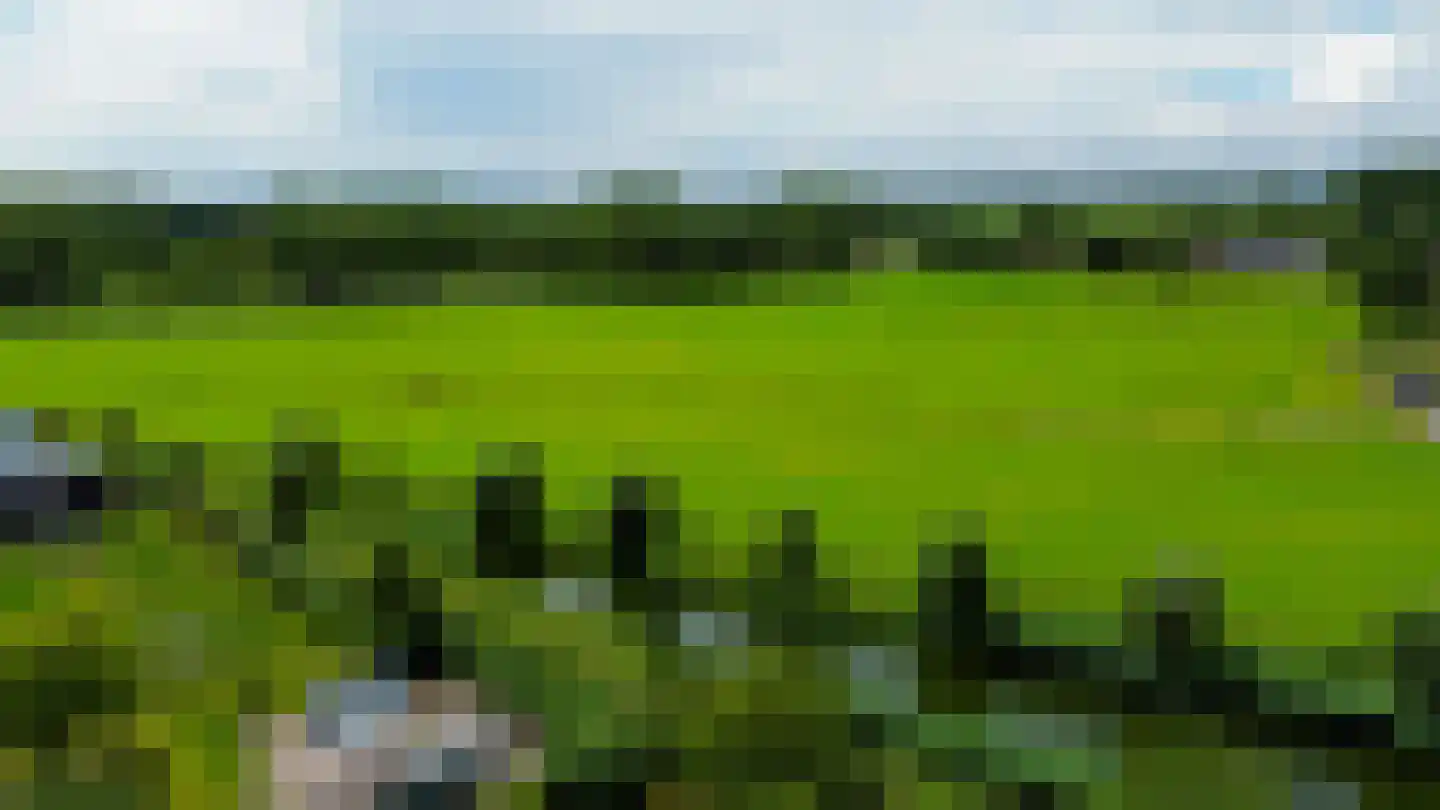 Klaverweide 19 Erp thumbnail 30