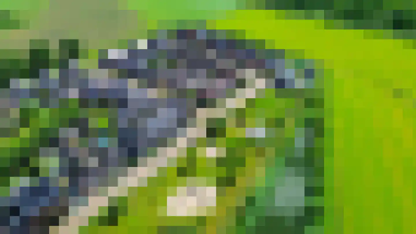 Klaverweide 19 Erp thumbnail 33