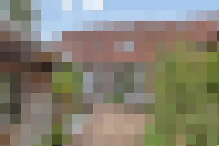 Klaverweide 19 Oss thumbnail 15