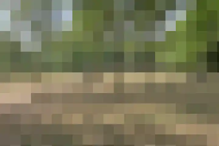 Klaverweide 19 Oss thumbnail 33