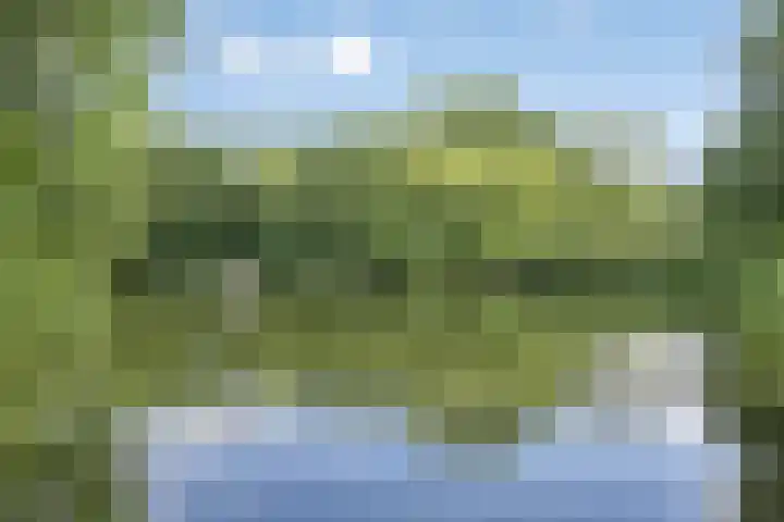 Klaverweide 19 Oss thumbnail 34