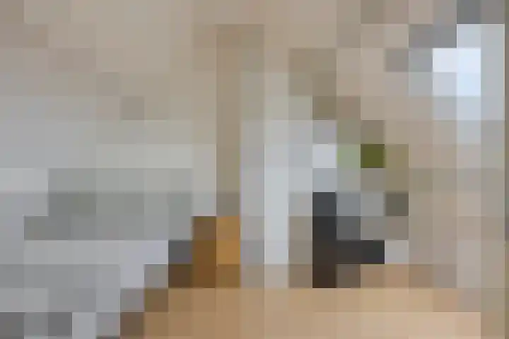 Klaverweide 19 Oss thumbnail 4