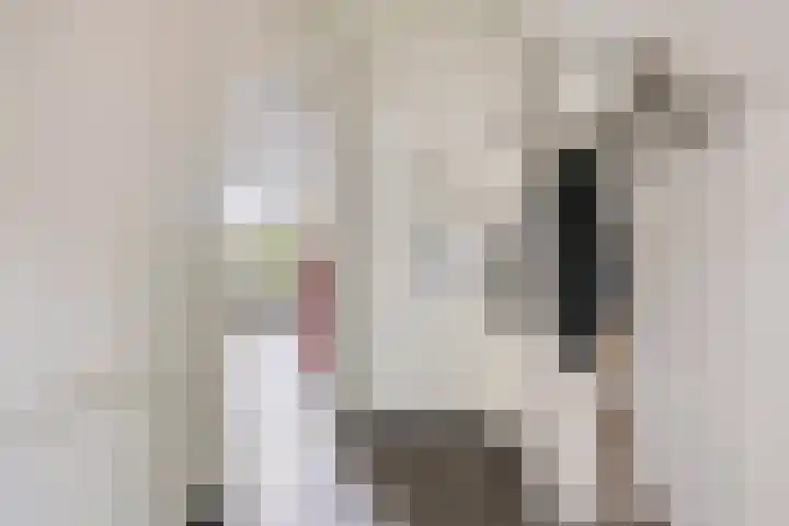 Klaverweide 19 Oss thumbnail 7