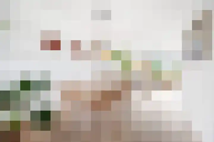 Klaverweide 190 Voorburg thumbnail 7