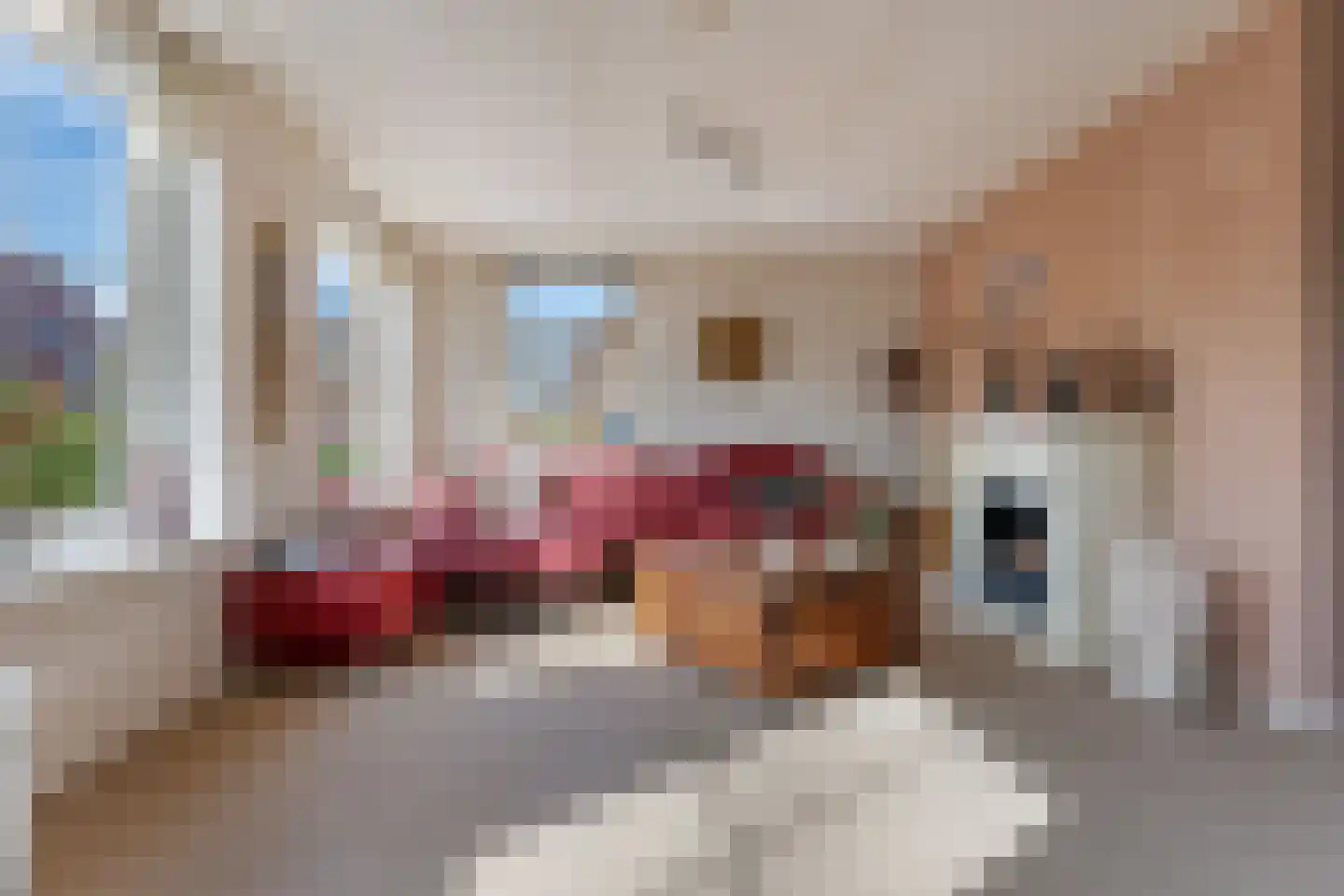 Klaverweide 21 Noordbroek thumbnail 8