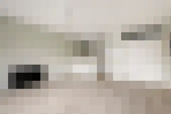 Klaverweide 212 Voorburg thumbnail 16